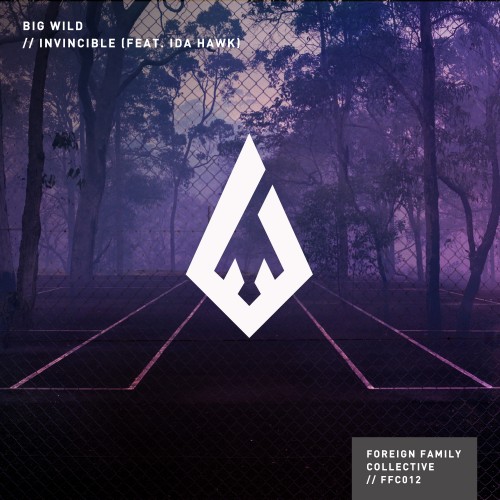 Invincible Remixes - Big Wild featuring iDA HAWK