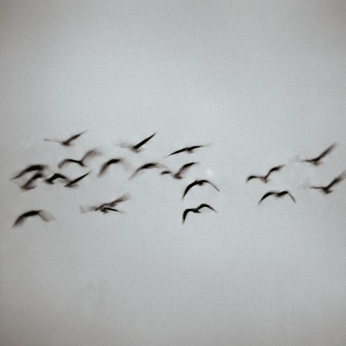 Sign (Revision) - TWO LANES and Nohr