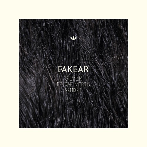 Silver (Remixed) - Fakear featuring Rae Morris