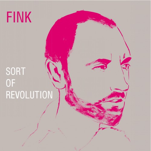 Sort of Revolution - Fink