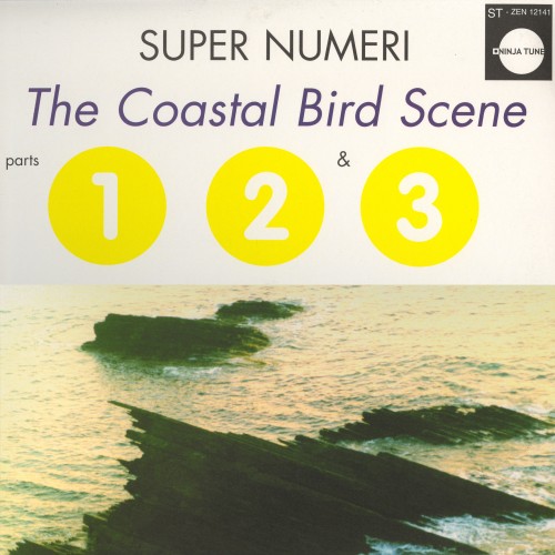 The Coastal Bird Scene - Super Numeri