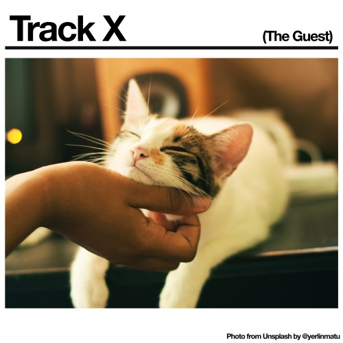 Track X (The Guest) - 